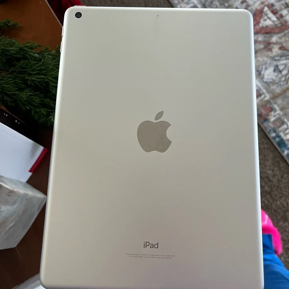 Locked Apple iPad - Silver
